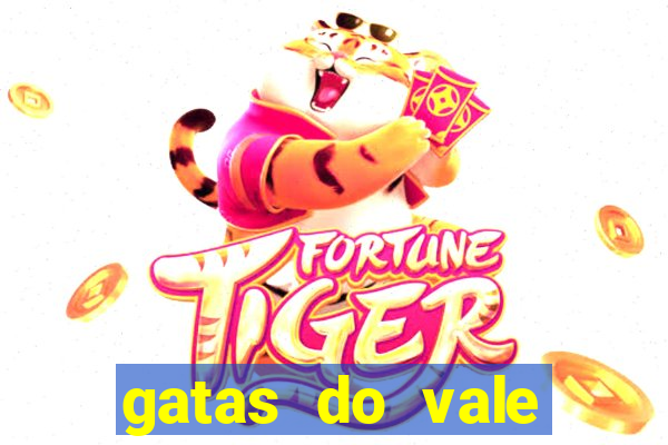 gatas do vale juazeiro ba
